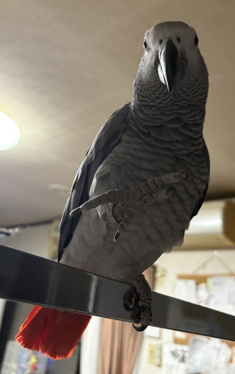 握手求めてくる系女子🤝