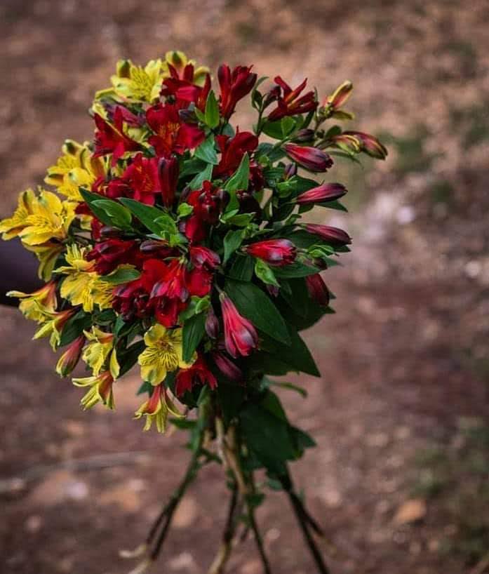 Pou grann ki ranplase manman,
Pou chak gran sè k ap jwe wòl manman nan lavi nou,
Pou matant, pou marenn, pou vwazin, pou kouzin, pou bèlmè ki konn tounen manman,
Pou manman ki tounen papa twò souvan nou bliye yo,
Pou manman lwen, manman pre, sa ki la ak sila yo k pa la... 💐♥️