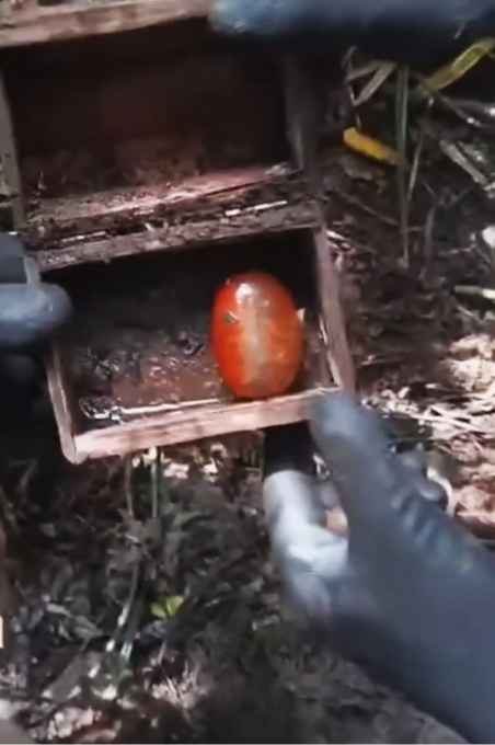 Lachlan Lay tweet media