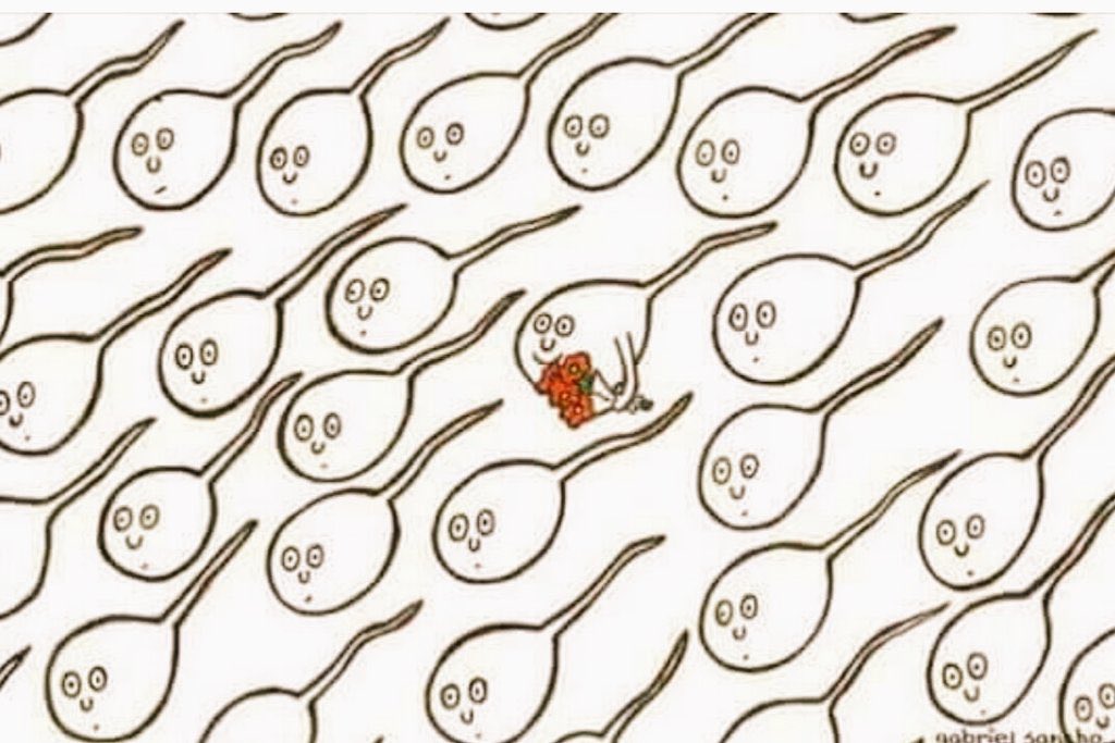 دا الحيوان المنوي اللي بينتج الواد الكهين العلق