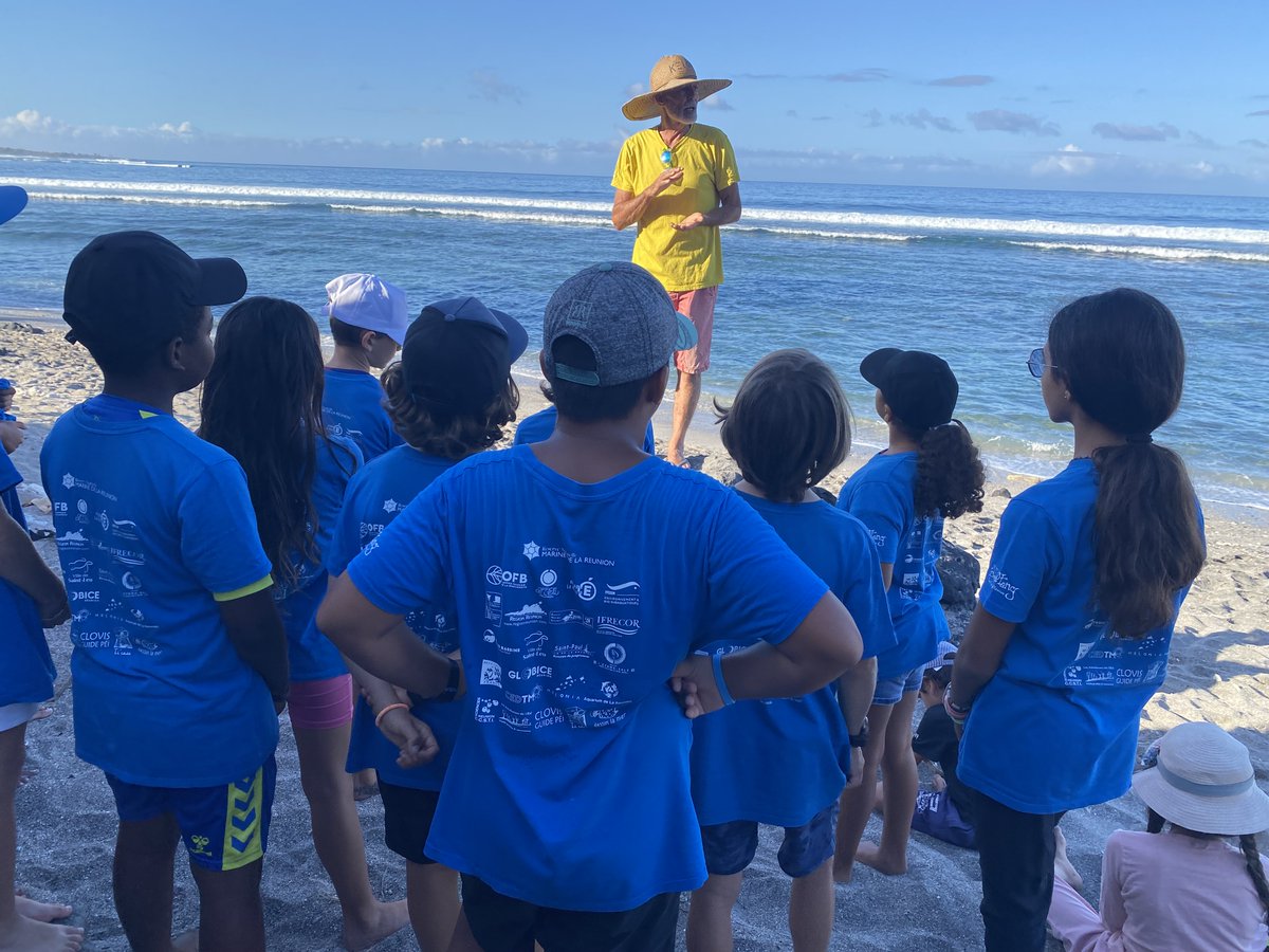 AME974StLeu's tweet photo. Profitons de la journée mondiale des #tortues pour rappeler que les élèves de @SaintLeu974  travaillent  avec Kélonia sur l'émergence des bébés tortues et les dangers anthropiques qu’encourent les tortues marines dans l'#océan 🐢🐢 https://t.co/0YQE57c1i9📽️ @EDD_AcReunion https://t.co/1Pm0GlA7ud