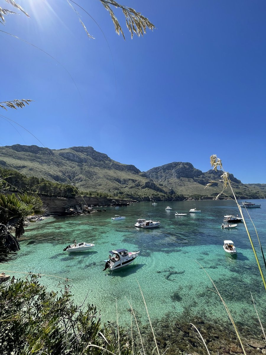 quan es posarà límits per no destrossar sa nostra terra?