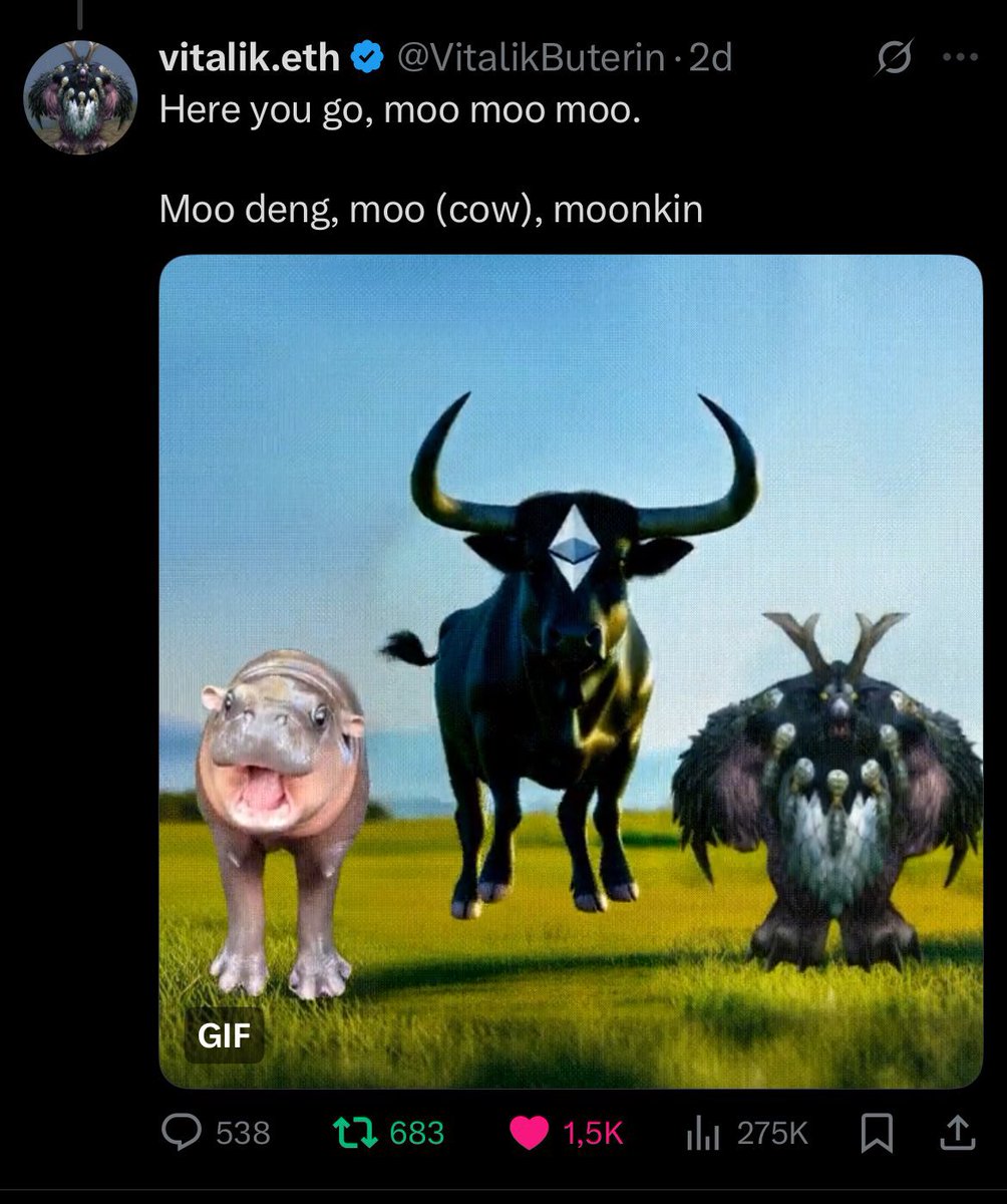 moocow