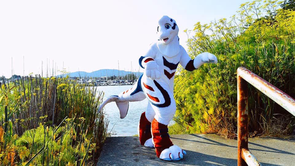 May this #SkyproSunday bring the energy boost ya need to make this week even better than the last!☀️🐳

#furry #furries #fursuit #fursuits <a href="/Skyprocostumes/">Skyprocostumes🌻</a>