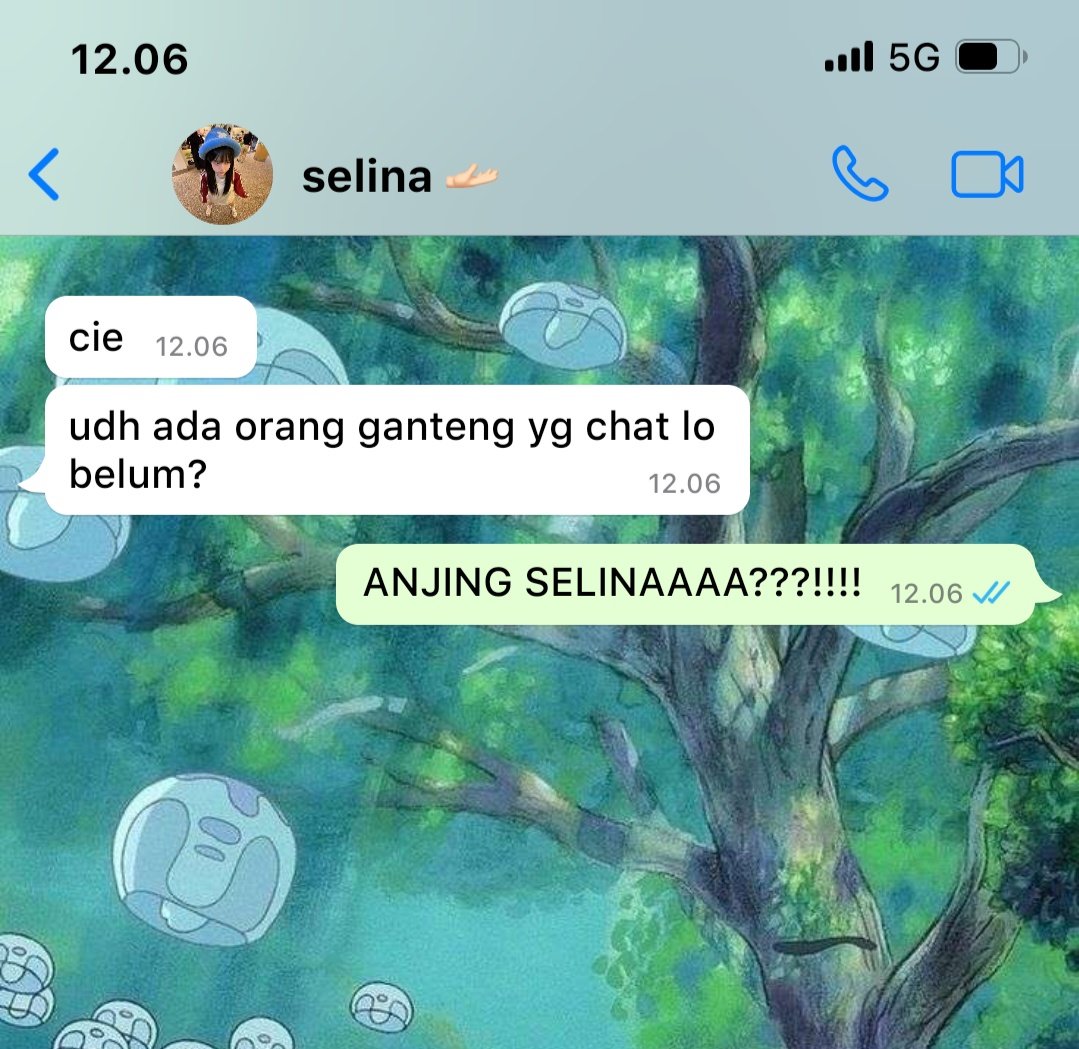 sha tweet media