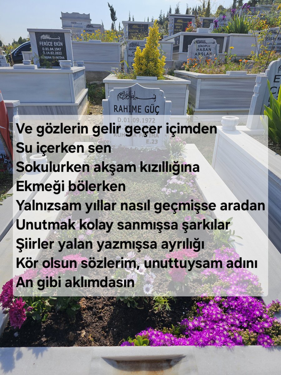 Huseyin Guc (@hgucpardus) on Twitter photo  Huseyin Guc (@hgucpardus) on Twitter photo