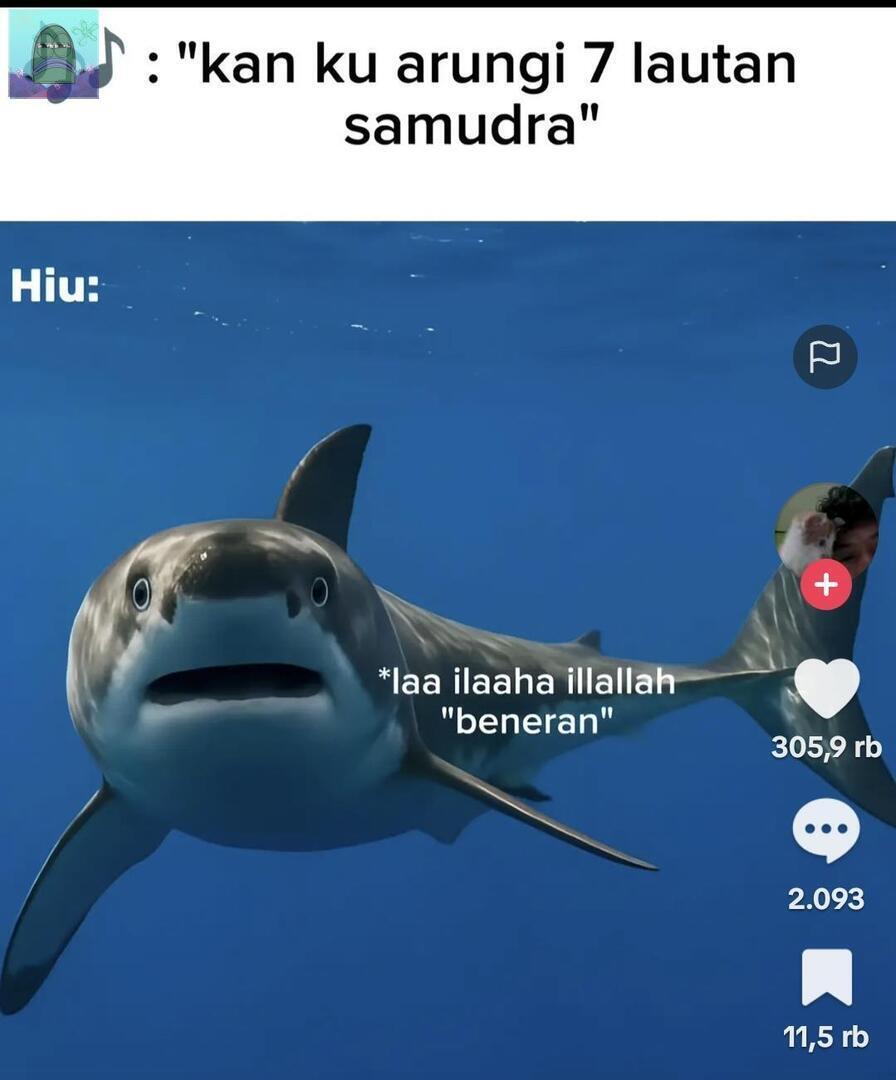 Coba guys share meme yang kalian ngeliatnya ketawa, kalo sender ini😭 gw ngebayang hiunya beneran nyebut 💚