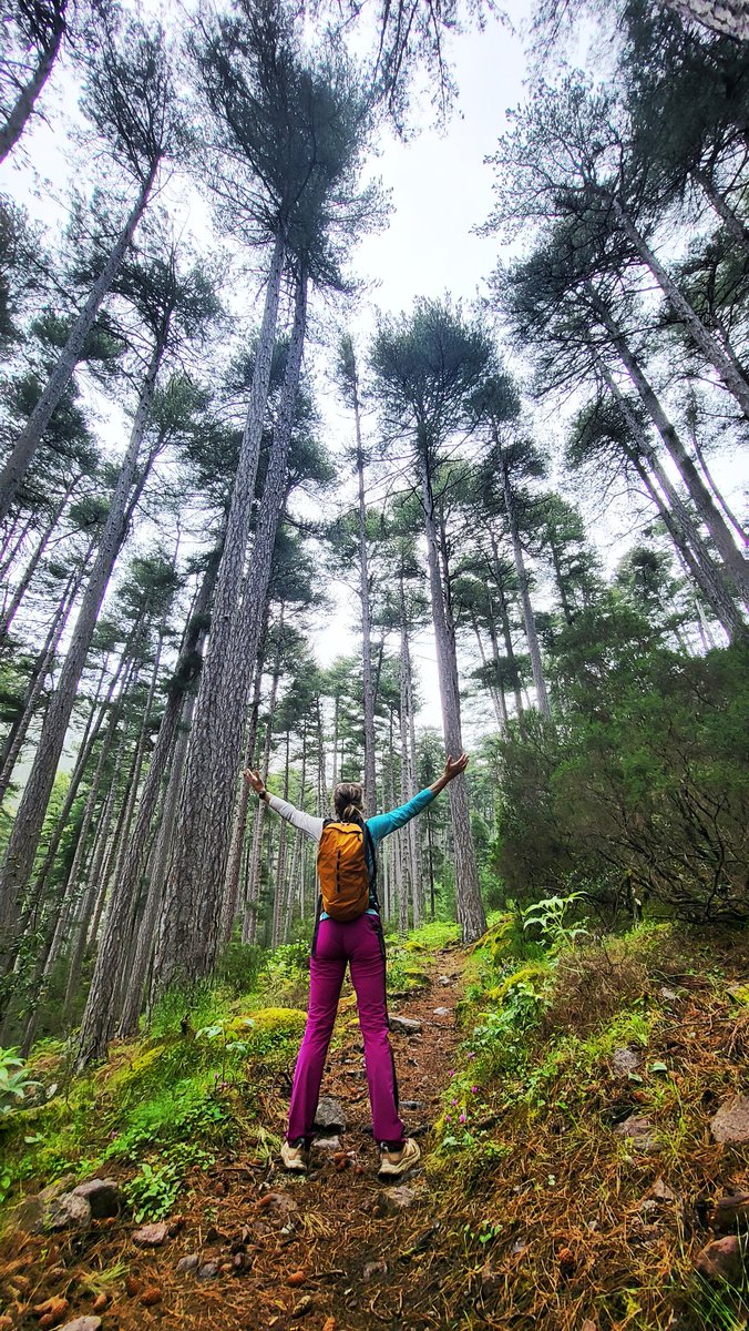 CONNECTED 
... inner WiFi on...
Que ja em feia falta 🏔️