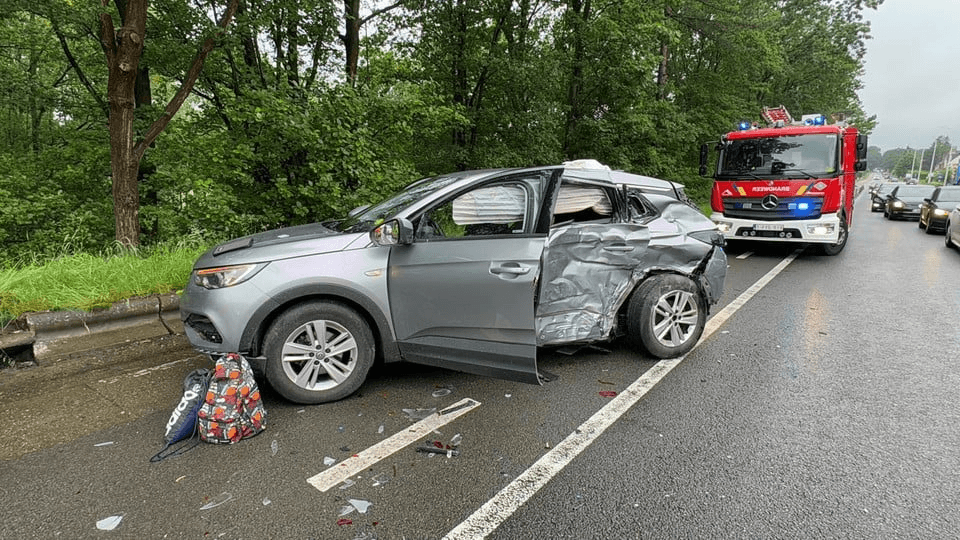 FatShield tweet media