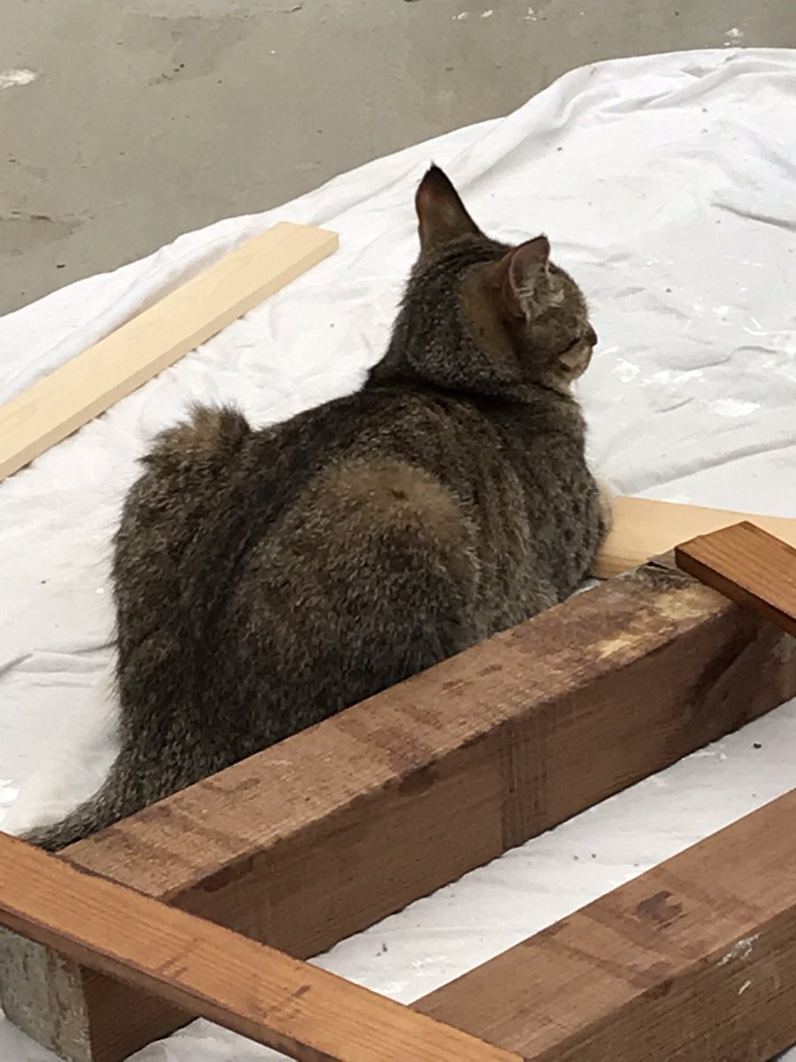 Steve Dyson tweet media