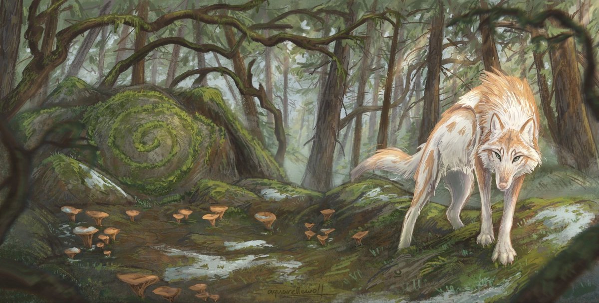 🦋 Spring in the forest

#aquarellewolf #wolf #art #artist #fantasyart #magicart #animalartist #animalart #canineart