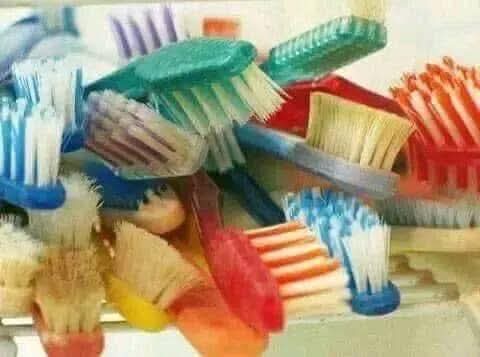 CatsKoMeJaguar's tweet photo. Secondhand (Thrift) newly opened bale original tooth brushes from UK.

Contact me for orders 🥱 https://t.co/KSA7a10RwG