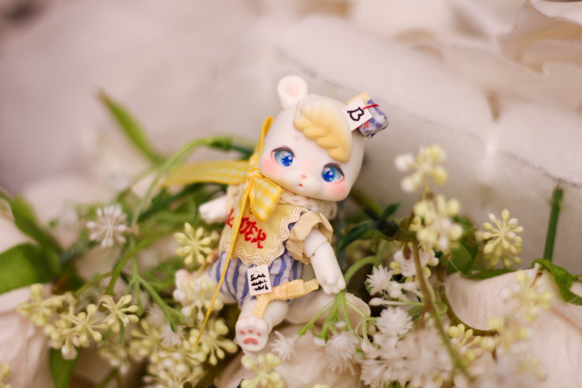 🧸🧈💛💝🐾

#kumukuku #버터크림