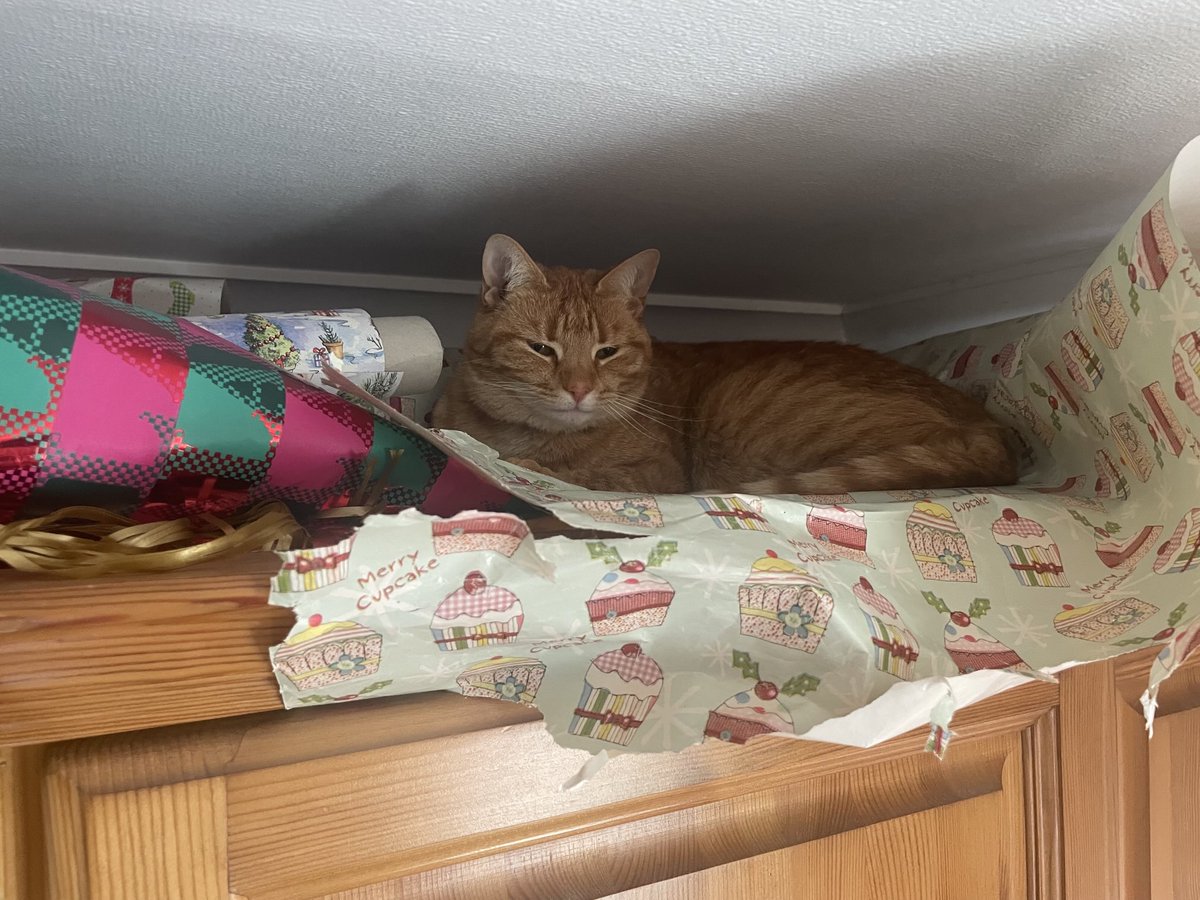 michele 💙 tweet media