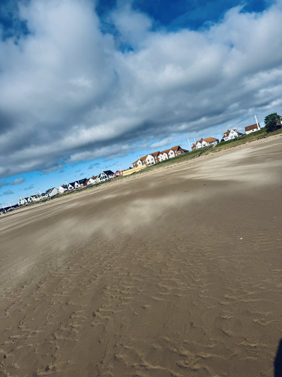 Vera_pooch's tweet image. Spooky windy sand didn’t put me off me sand swimming 🩷
#Vera🐶
#DogsOnX
#TwinsiesOnTwitter
 #Seaburn