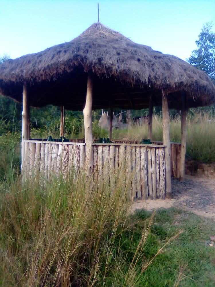 ImuhiraT's tweet photo. Travel for a cause this summer with Imuhira Ecotourism!
🎒 Study trips in the Kivu Belt:
🏕 Camping
🥾 Hiking the Congo Nile Trail
🐒 Chimp tracking in Nyungwe
🚤 Lake Kivu tours
💡 Learn arts, science &amp; entrepreneurship!
📲 https://t.co/5K4ZnorwHy
#EcoTravel #ExploreRwanda https://t.co/OuYIQnpXm6