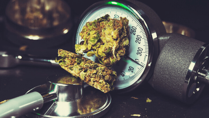Analysis: Lifetime Cannabis Use Not Associated With Elevated Risk of Hypertension

Neither recent nor lifetime cannabis use is associated with a higher prevalence of hypertension or high blood pressure among older adults, according to data...

norml.org/blog/2024/11/2…