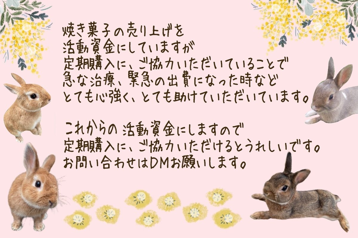 312mokomoko's tweet image. 焼き菓子の売り上げを
活動資金に役立てています🐰
治療の必要なうさぎさんもいますが
みなさんの応援、ご協力のおかげで
小さな命が守られています♡
大切な命が里親さんへと繋がっています🐰
1羽でも多くのうさぎさんを
しあわせにしてあげたいので
ご協力お願いします🌼
amazon.jp/hz/wishlist/ls…