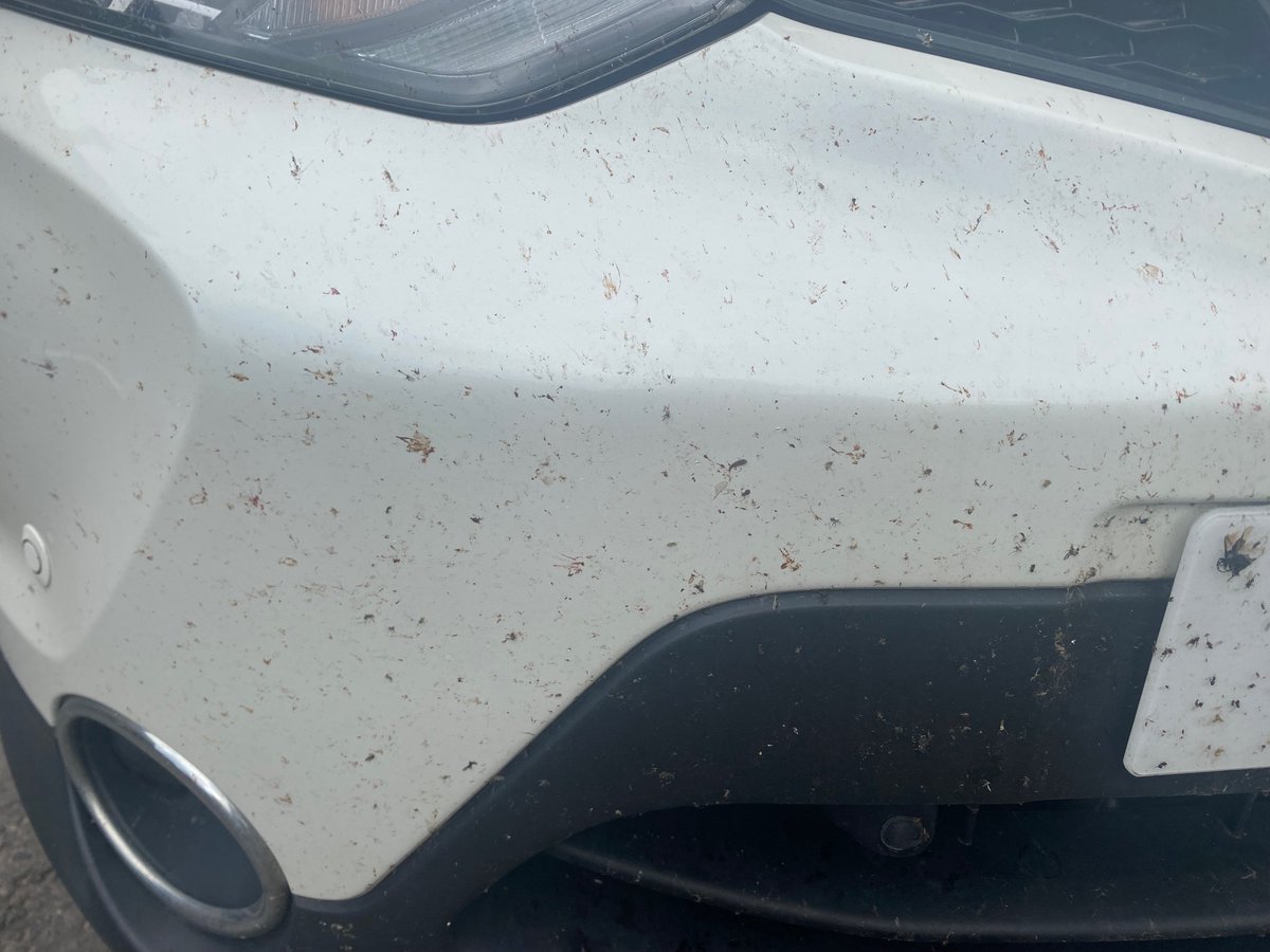 George McKenzie tweet media