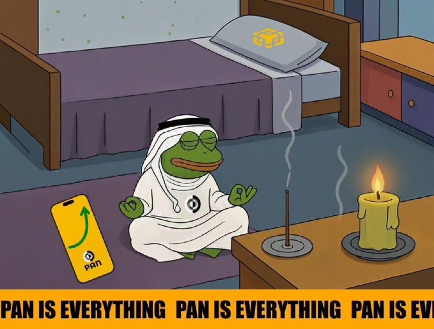 Pan_Ecosystem's tweet photo. BINANCE IS PAN?