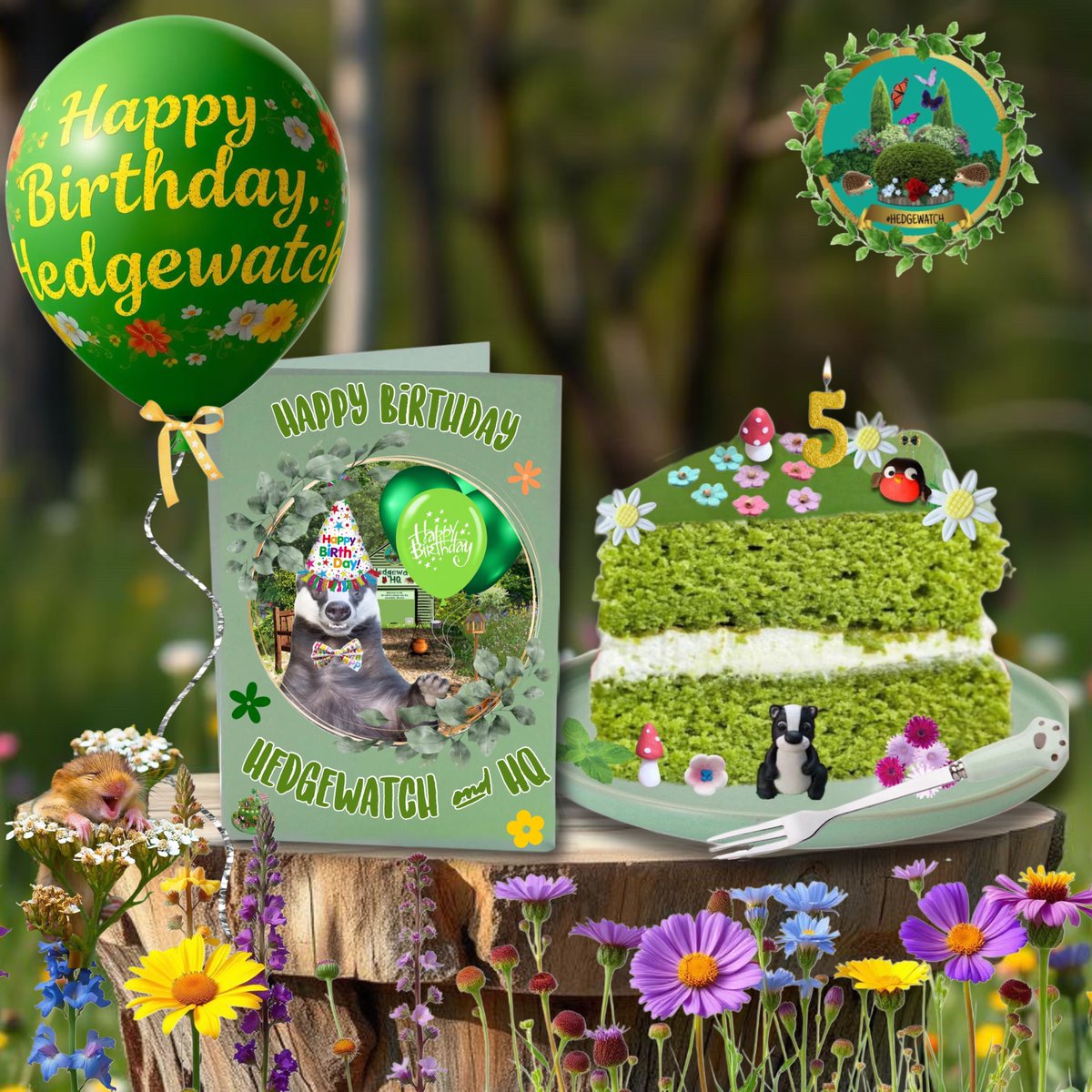2/2 Every morning this week (Mon- Fri) Brock will rummage in a shed &amp; decide on a #Hedgewatch theme for that day. It’s going to be great fun &amp; we’ll share lots of happy memories too. We do hope you can join in! In the meantime have some birthday cakie &amp; enjoy your day!