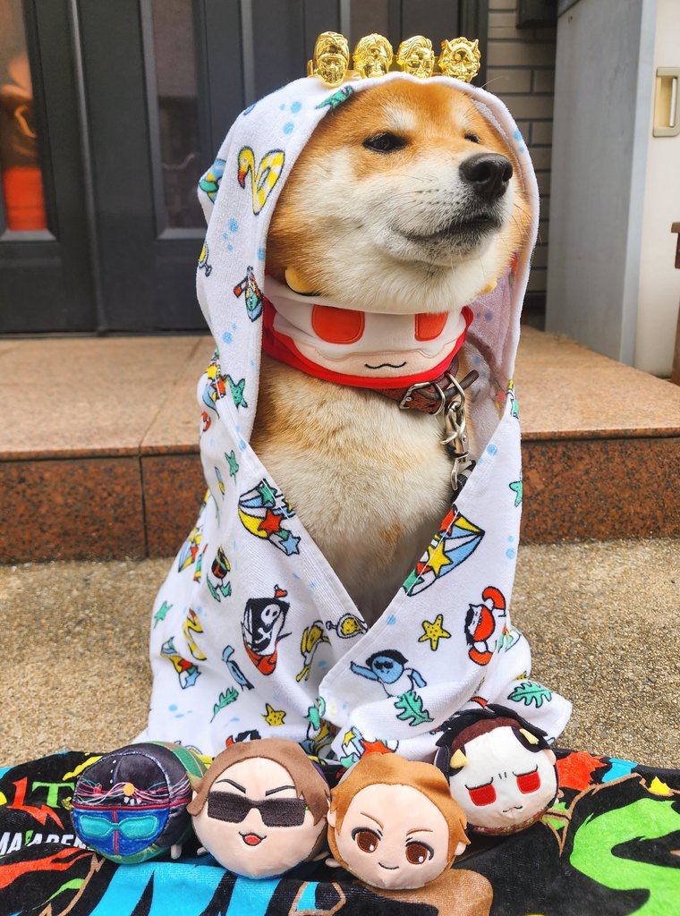 Rai_rairai_'s tweet image. っょぃ
#MSSP横アリフォトコン