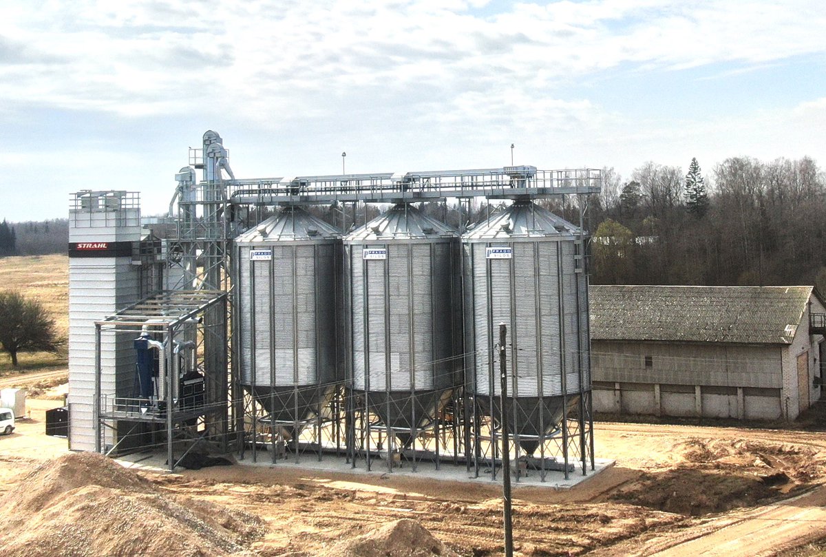 Almost ready 🌈 for harvest 🌾
💪🏿 Grinis Power 👊 Pociems 
sia Grīnis organic farming 🇱🇻