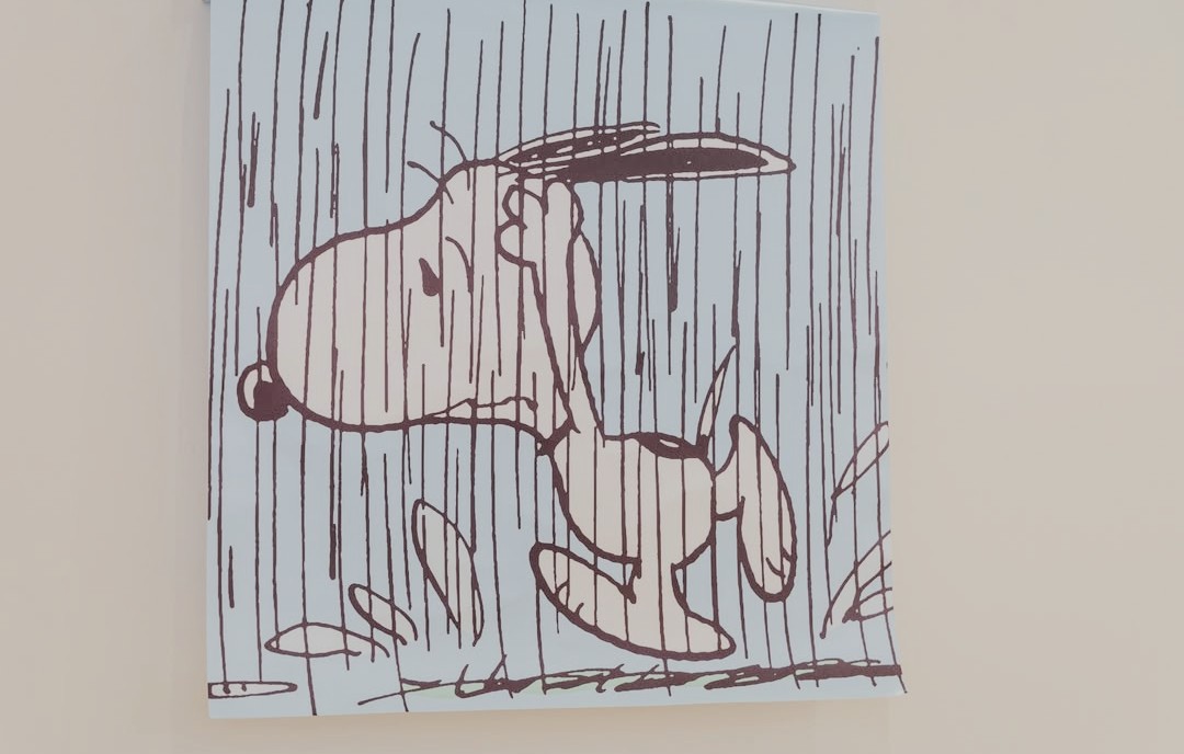 🐶D-220🐶
#김재환 #KIMJAEHWAN