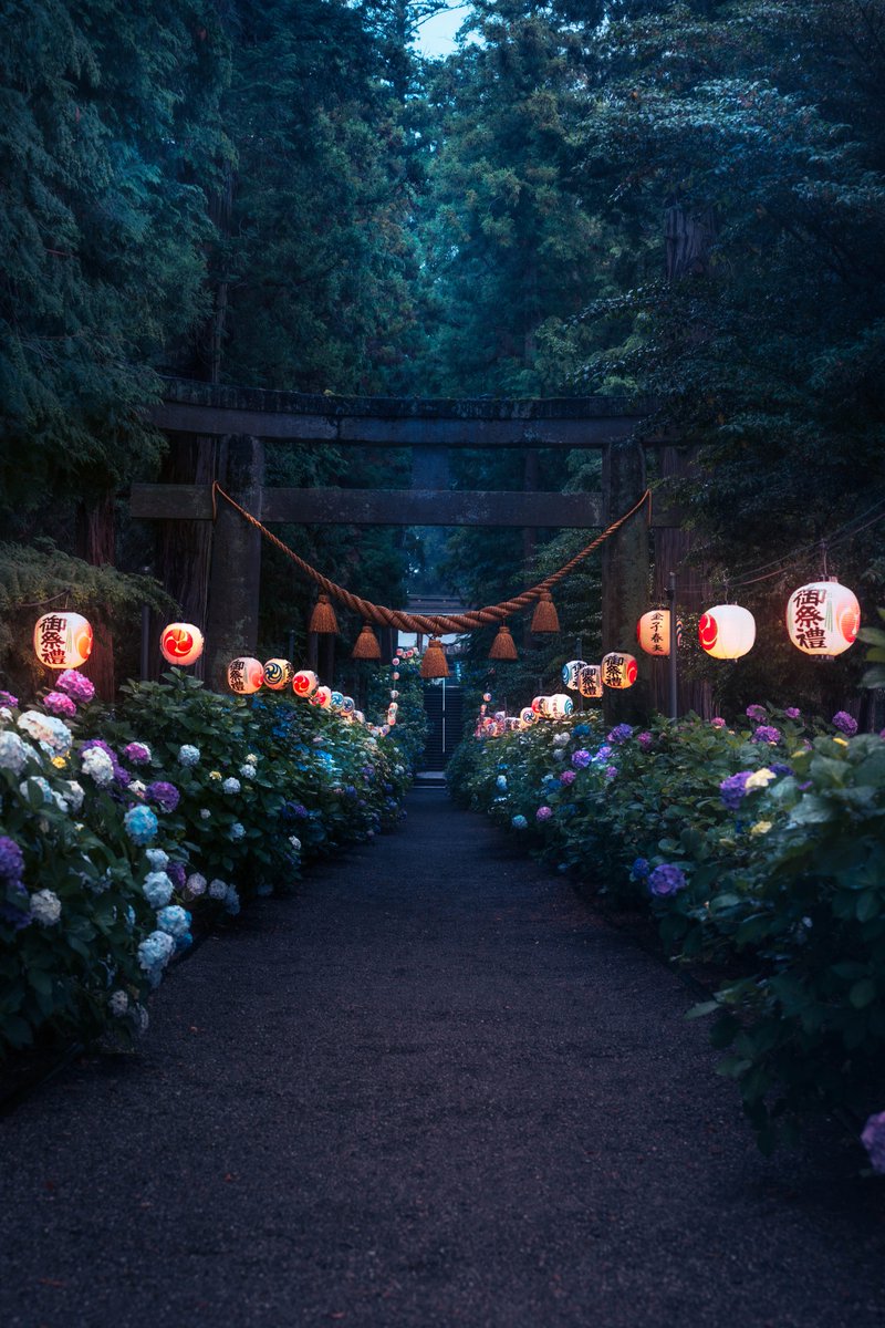 pomu_iyashi's tweet photo. 紫陽花が囲む神秘的な参道 https://t.co/AYg6AxZH62