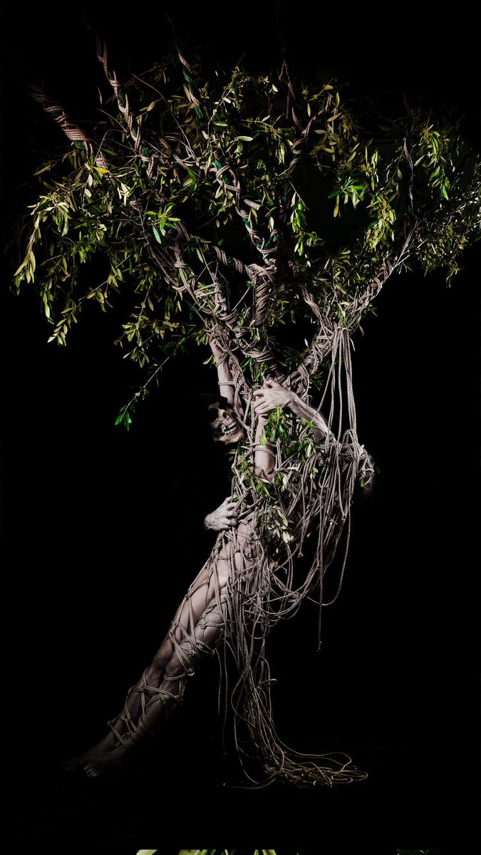 dcdedalus's tweet photo. Dafne e l’albero della Metamorfosi 

Dafne, giovane ninfa dedita alla ricerca della libertà, per sfuggire all’inesorabile ardore delle attenzioni della Nera, che con le sue pallide scheletriche mani la cingono di seduzione, si trasforma in albero, un albero della Conoscenza. https://t.co/C0gerP4b7n