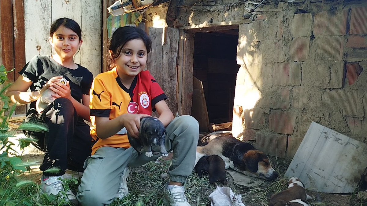 Çorum'un Osmancık ilçesinde yaşayan 2 kardeş, sokakta doğum yapan ve 13 yavrusu bulunan köpeği sahiplendi.