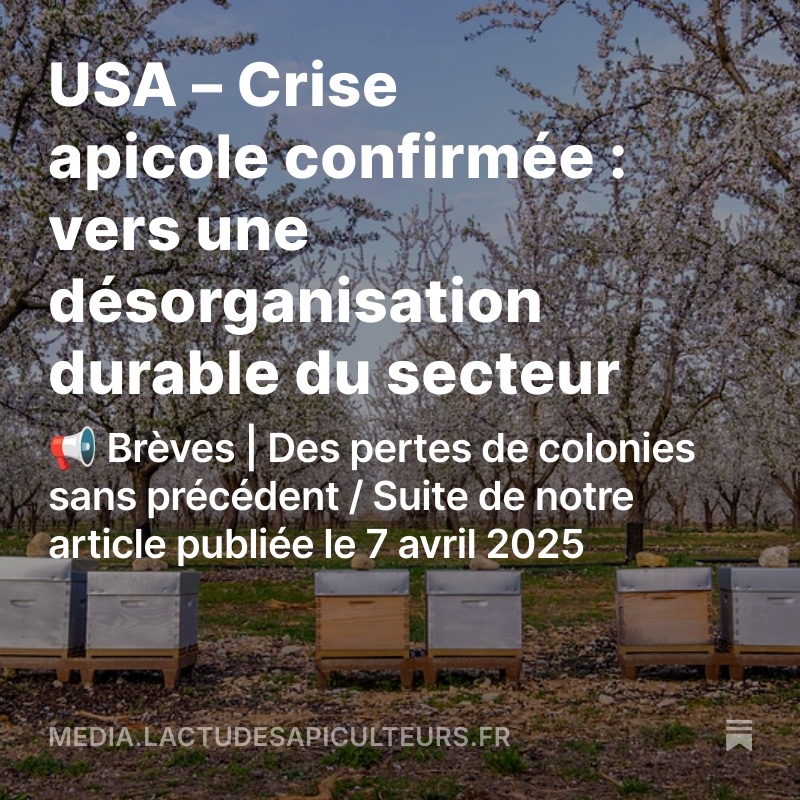Ro1968R's tweet image. Dans notre précédent article daté du 7 avril 2025, nous relations les premières données préoccupantes issues de l’enquête nationale coordonnée par Project Apis m. et ses partenaires. Depuis, les résultats consolidés... media.lactudesapiculteurs.fr/p/usa-crise-ap…