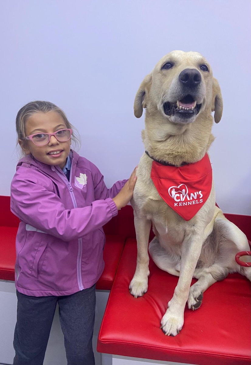 Cooper was all tuckered out after a big day of spreading joy and bringing smiles in our Mobile Pet Therapy Unit based at MRH Mullingar on Friday!

We have permission to share these photos with you of Levente, Amy and LJ who turned 3 this week! ❤️

#HappyFaces #WaggingTails