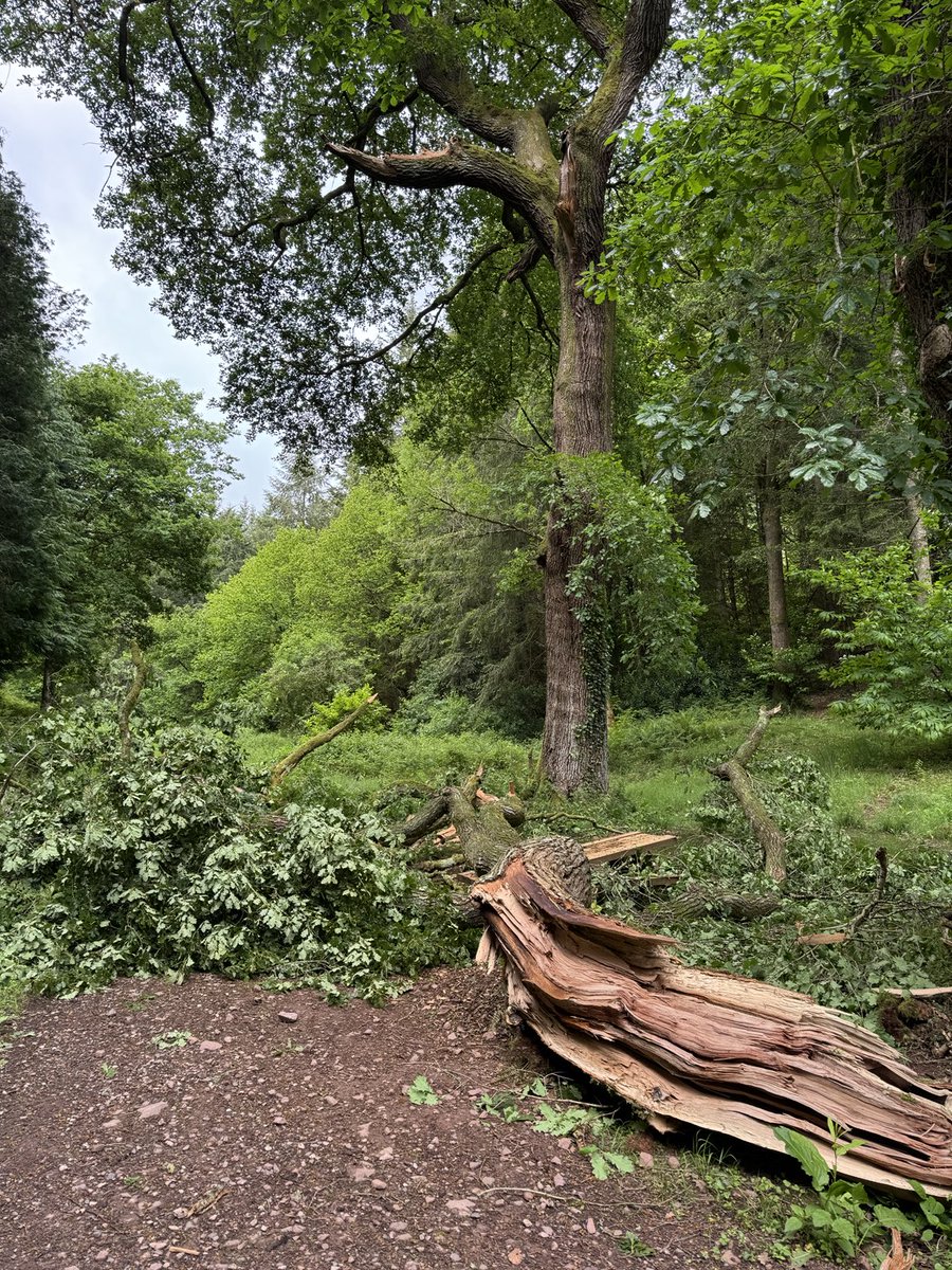 Neil Blake tweet media