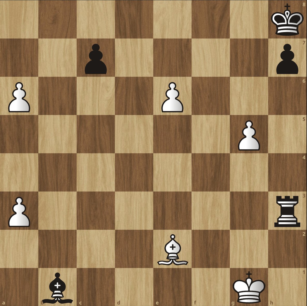 EliteMinds tweet media