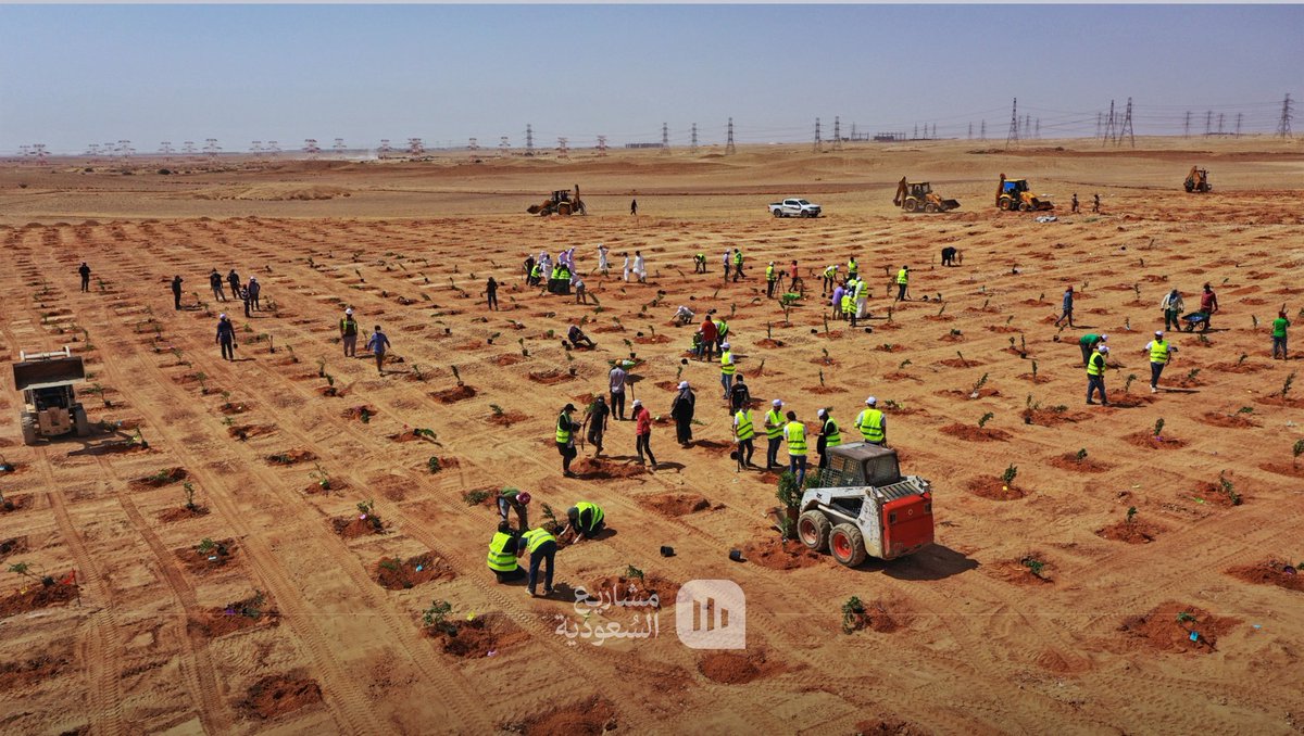 SaudiProject's tweet photo. خريطة السعودية ترويها أشجارها🇸🇦🌿

عمل فني طبيعي نفّذه برنامج #الرياض_الخضراء عام 2021 قرب مطار الملك خالد الدولي، حيث ارتسمت خريطة المملكة على مساحة 170 ألف متر مربع بأشجار محلية تتحمل مناخ الرياض، لتشكل لوحة خضراء يراها المسافرون من الطائرة، وتعبر عن التزام المدينة بمستقبل أخضر https://t.co/xaafdzVUYF