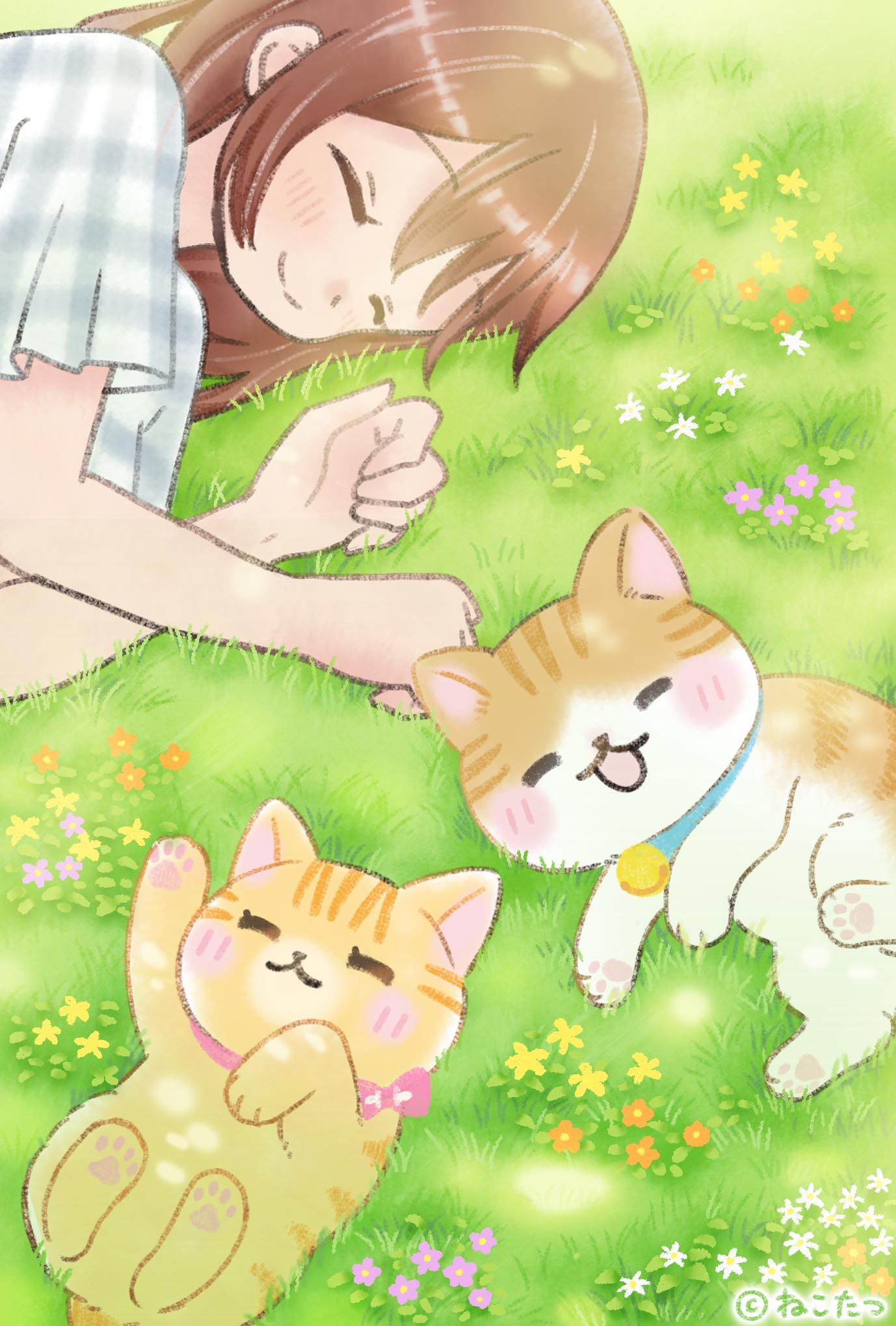 こたつとねこ 公式】ねこたつ 〜 いつでもそばにいるニャ。 (@nekotatsu5) / X