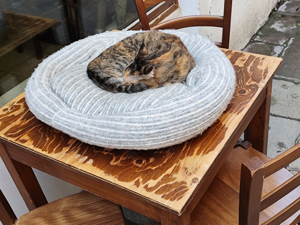 Dolores Maria (@dolores70621134) on Twitter photo <a href="/Cat_Bauer/">Cat Bauer in Venice</a> Die hab ich im April auch fotografiert 💖 <a href="/Cat_Bauer/">Cat Bauer in Venice</a> Die hab ich im April auch fotografiert 💖