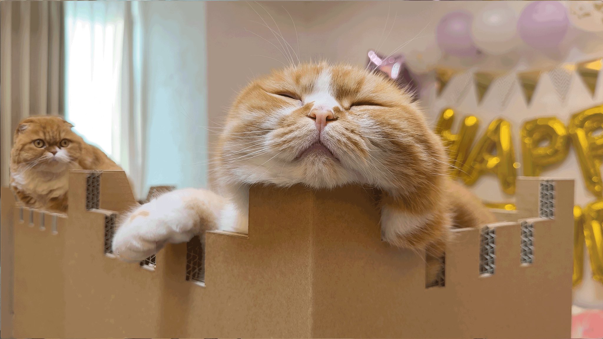 まる お も ふこ