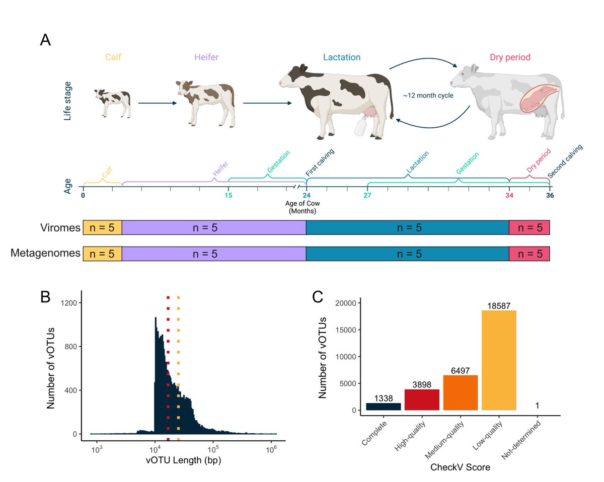 Ryan Cook tweet media