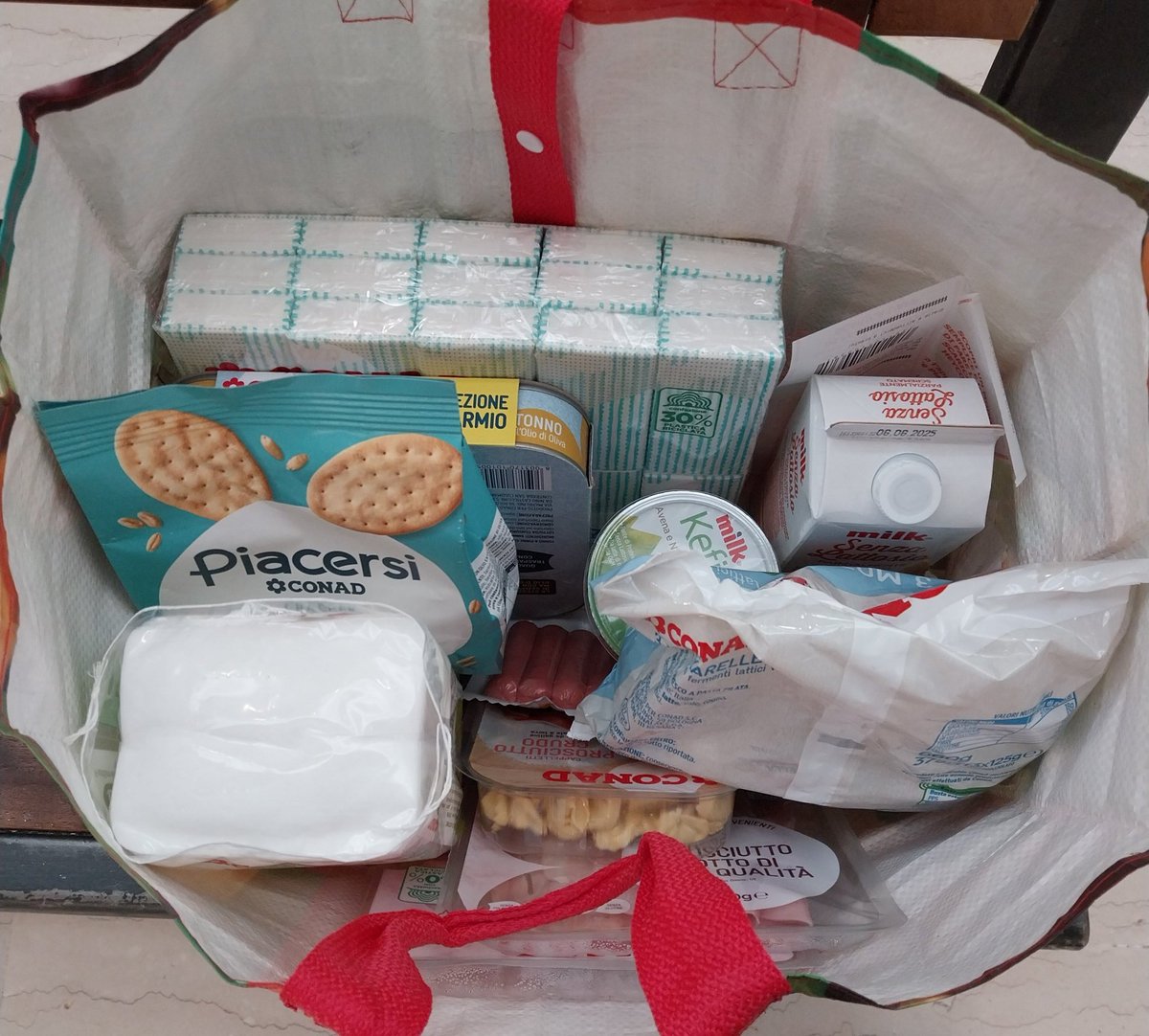 Frida(col cactus) 🌵 tweet media