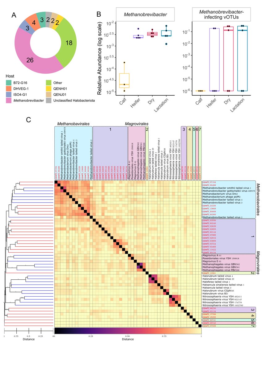 Ryan Cook tweet media