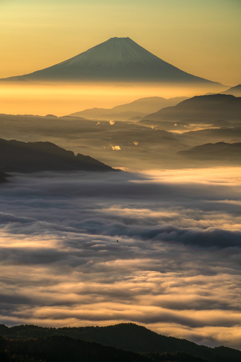 bee_tk_'s tweet photo. 絶景を堪能する鳥が羨ましい🕊️🗻 https://t.co/sE7vQFj2qH