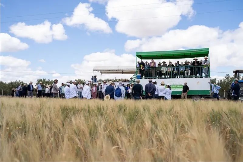 A Scientific Spring Day in Marchouch <a href="/ICARDA/">ICARDA</a> icarda.org/media/news/sci…