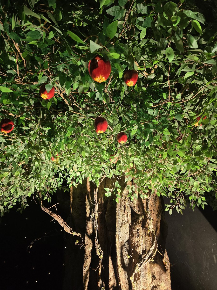 From start to finish, the thrill and excitement keep going and growing. And after all that, ano nga ba ang pakiramDAM? 

Simula at Wakas. <a href="/SB19Official/">SB19 Official</a> #TheSaWExperience