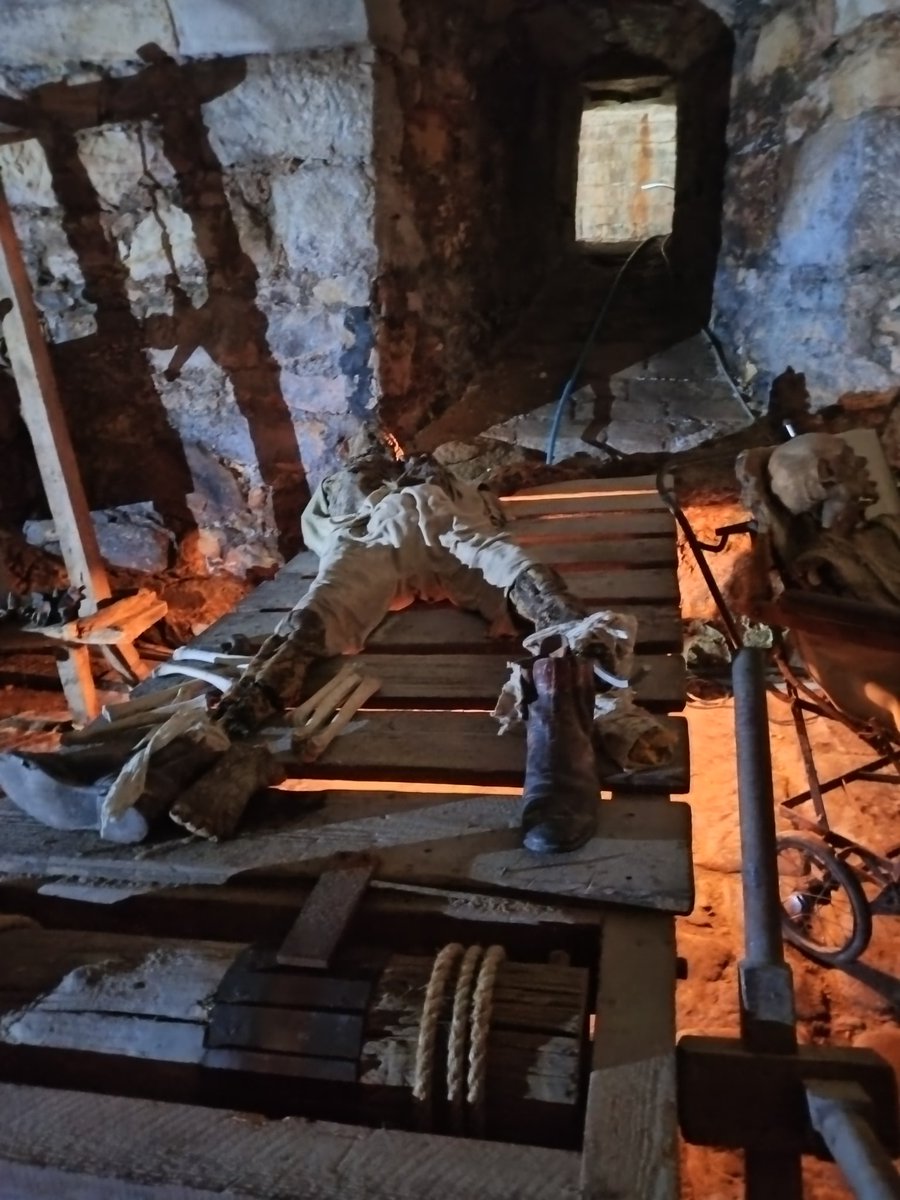 jjwolfeegirl91 Wolf tweet media