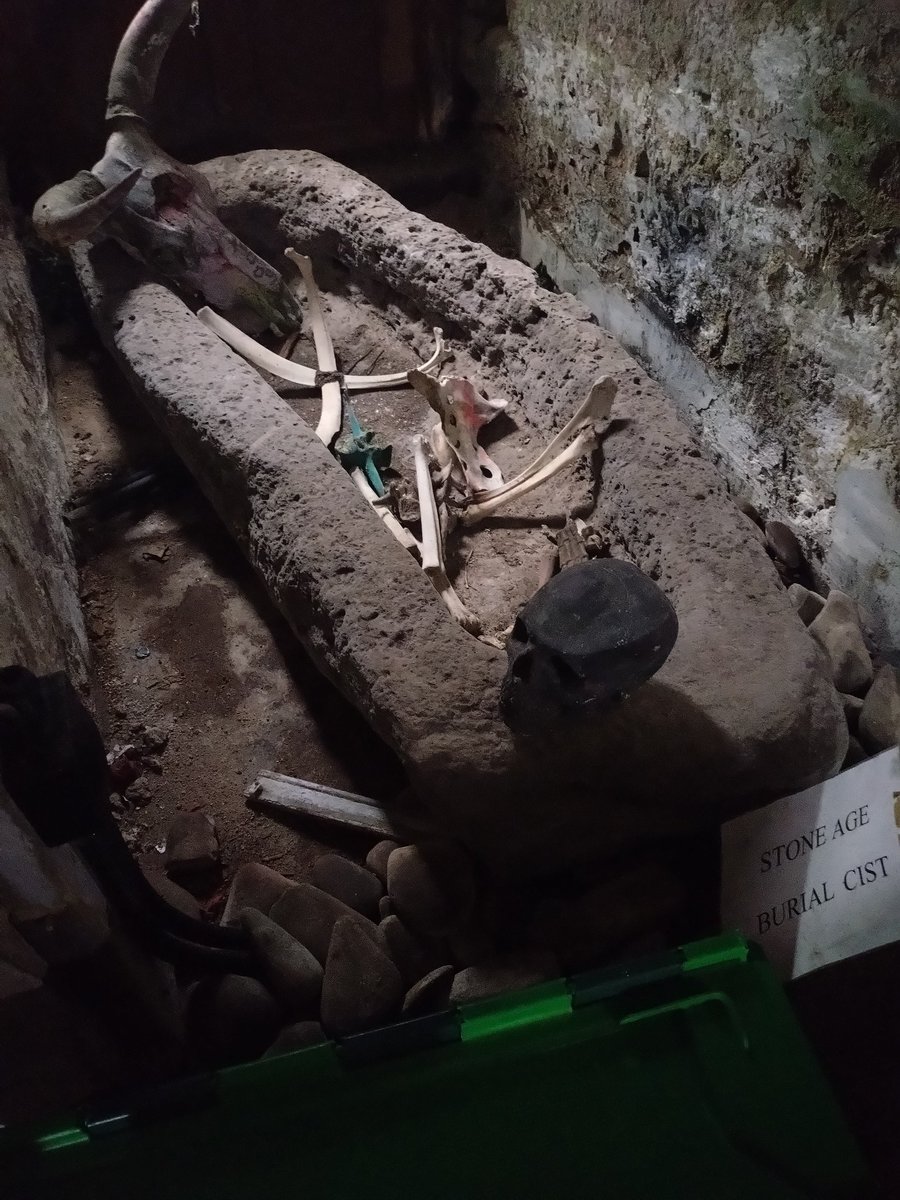 jjwolfeegirl91 Wolf tweet media