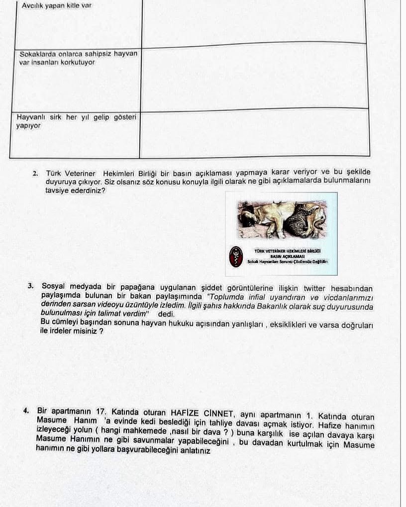 1- Beklenmedik bir anda bir kasabanın  belediye başkanı seçiliyorsunuz. Ancak sizden önceki belediye zamanında sol taraftaki sütunda olduğu gibi kentte hayvanlar aleyhine çalışmalar yapılmış ve hatta daha rahat çalışsın diye ruhsatlar dahi verilmiş. Tüm bunların hepsini bir anda