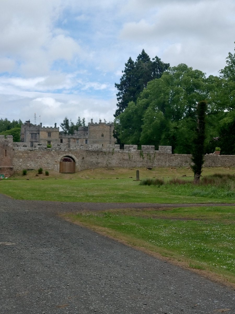 jjwolfeegirl91 Wolf tweet media