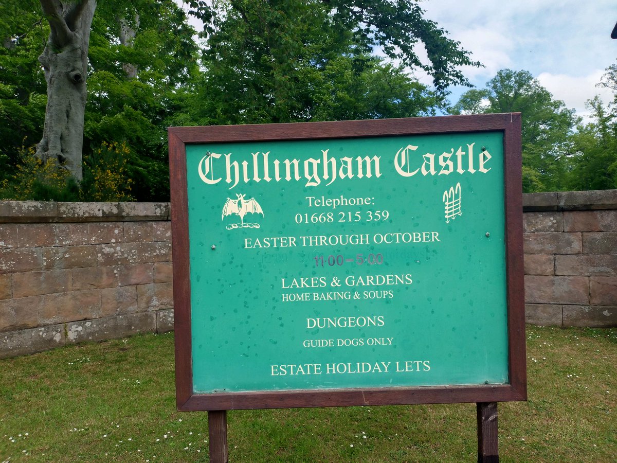 jjwolfeegirl91 Wolf tweet media